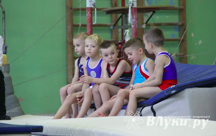 В Великих Луках прошло Первенство области по спортивной гимнастике 